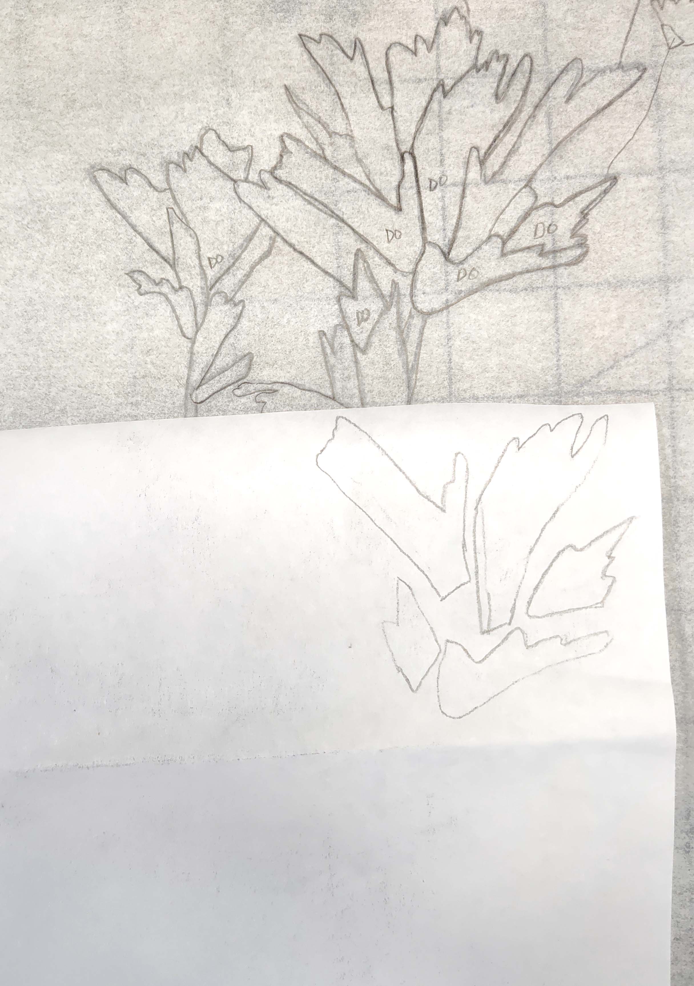 Indian Paintbrush 2 copying design to freezer paper Felting and